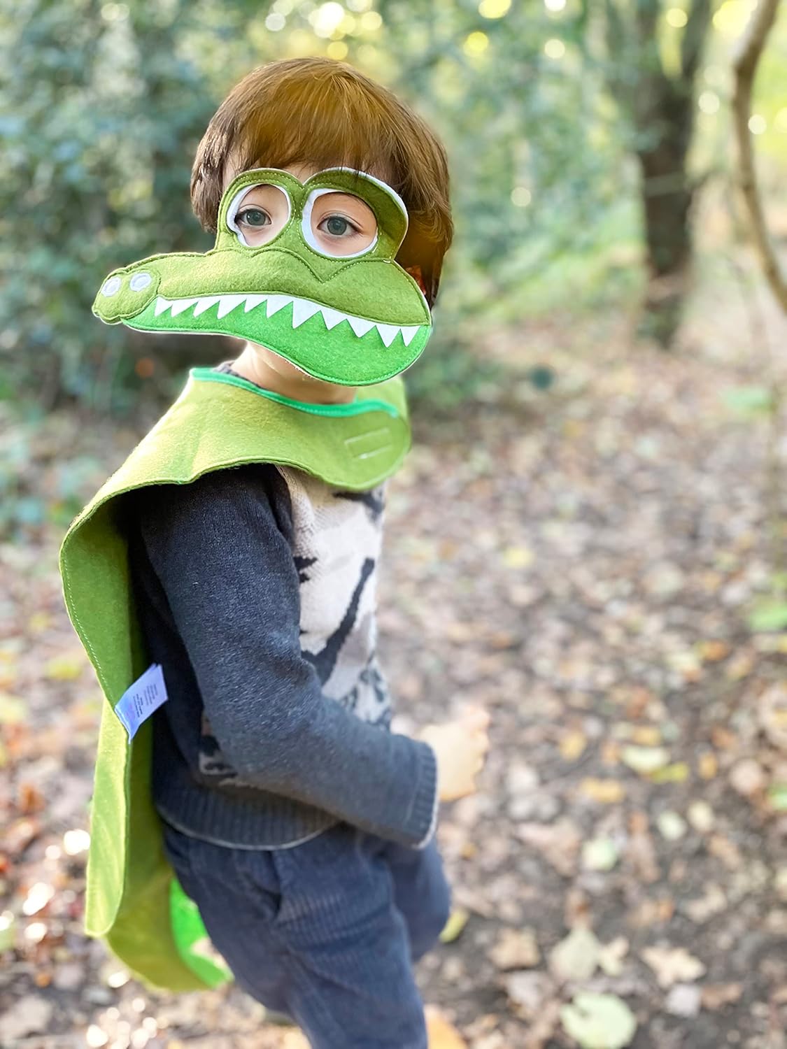 ZAC HOME World Book Day Costume Crocodile and Dinosaur 2 in 1 Costume for 3-8 years