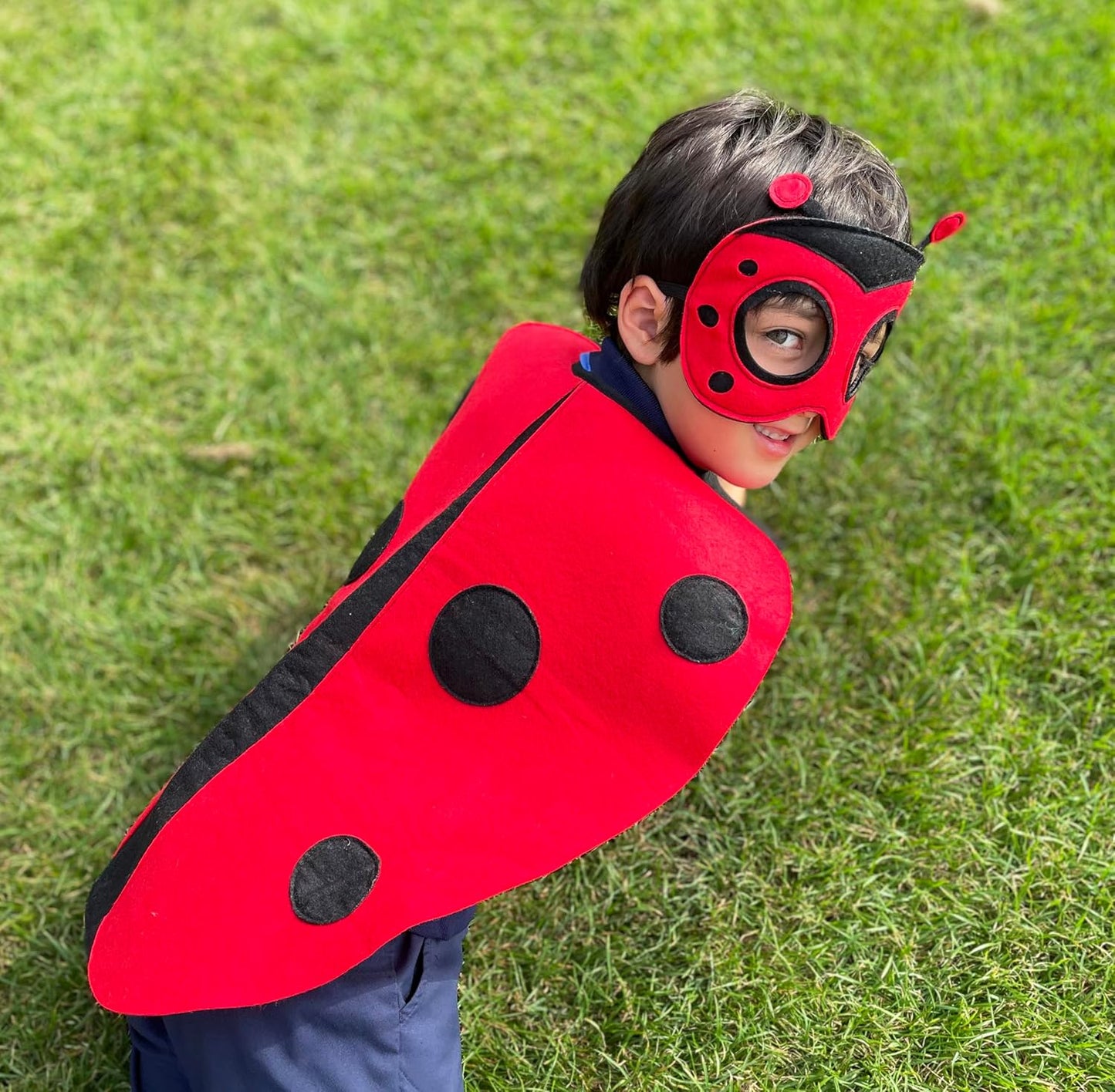 ZAC HOME World Book Day Animal Garden Bug Costume Ladybird Costume Dress Up Outfit 3-8 years