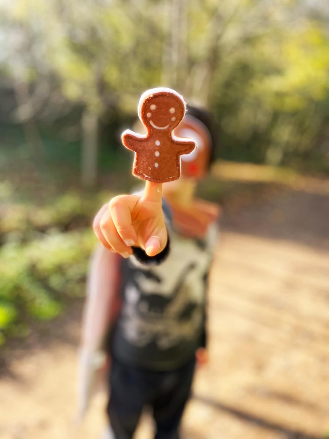 ZAC HOME World Book Day Ginger Bread Man Costume for 3-12 year old