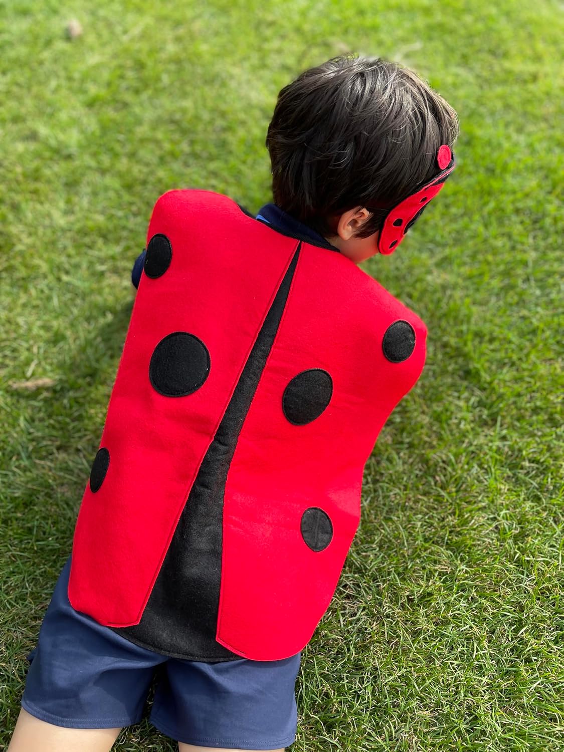 ZAC HOME World Book Day Animal Garden Bug Costume Ladybird Costume Dress Up Outfit 3-8 years
