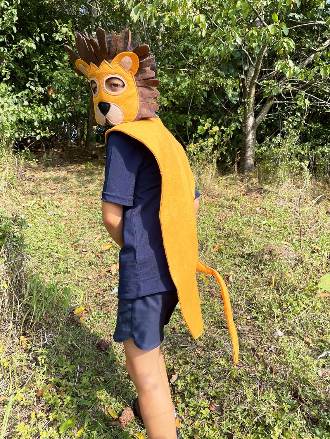 ZAC HOME World Book Day Animal Costume Lion Costume Dress Up Outfit 3-8years