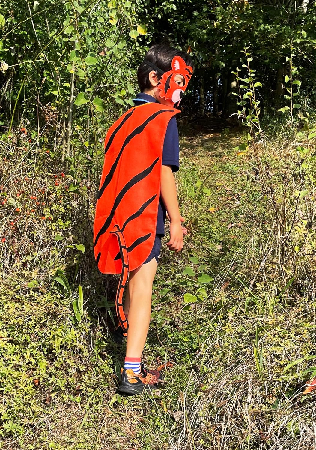 ZAC HOME World Book Day Animal Jungle Animal Costume Tiger Costume Mask and Cape for Age 3-12