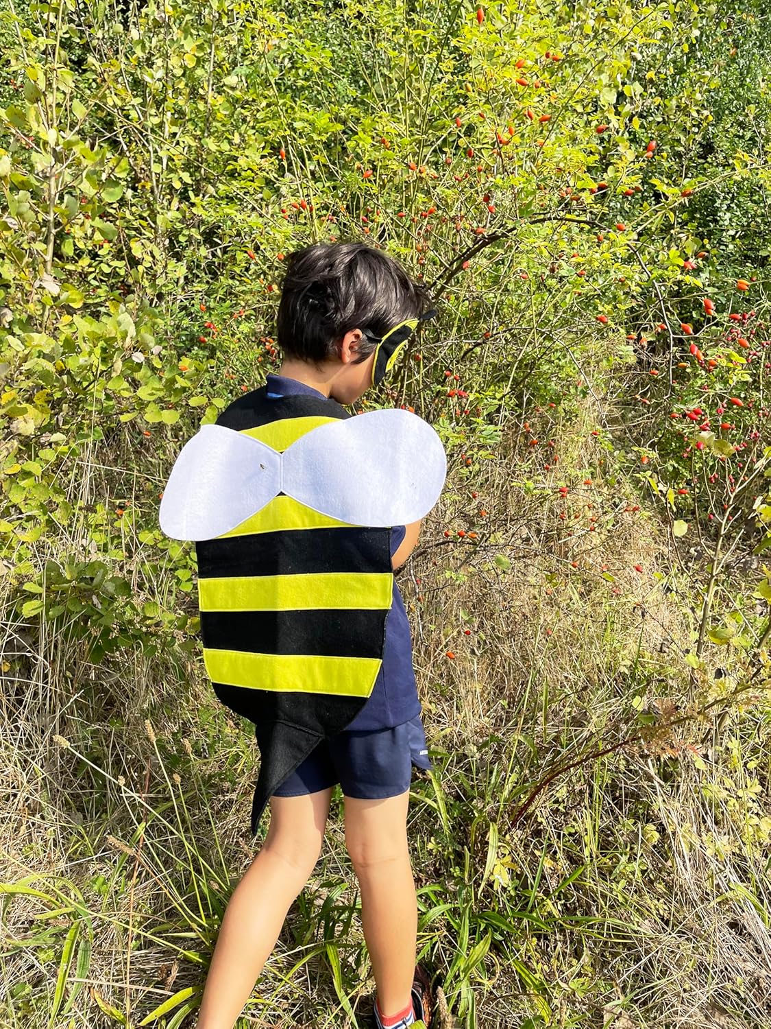 ZAC HOME World Book Day Animal Costume Garden Bug Costume Bee Costume Dress Up Outfit