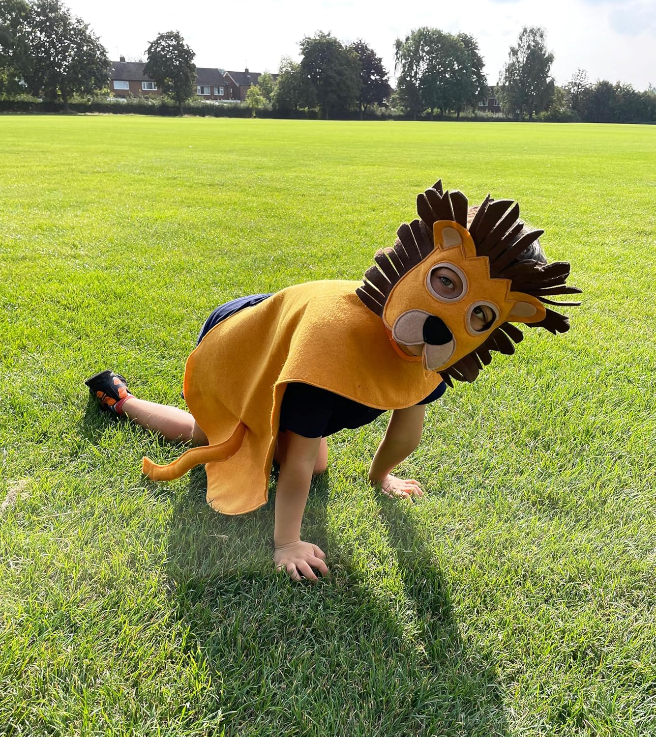 ZAC HOME World Book Day Animal Costume Lion Costume Dress Up Outfit 3-8years