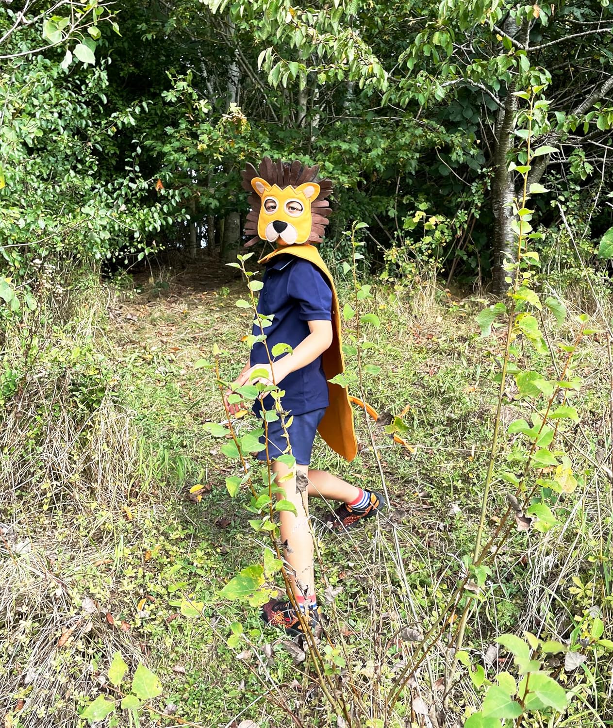ZAC HOME World Book Day Animal Costume Lion Costume Dress Up Outfit 3-8years